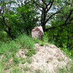 Burial mound, photo by Serhiy Zhyla