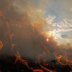 Лісова пожежа, фото Жили С. М.