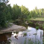 River Bolotnisya, photo by Yuriy Kuzmenko